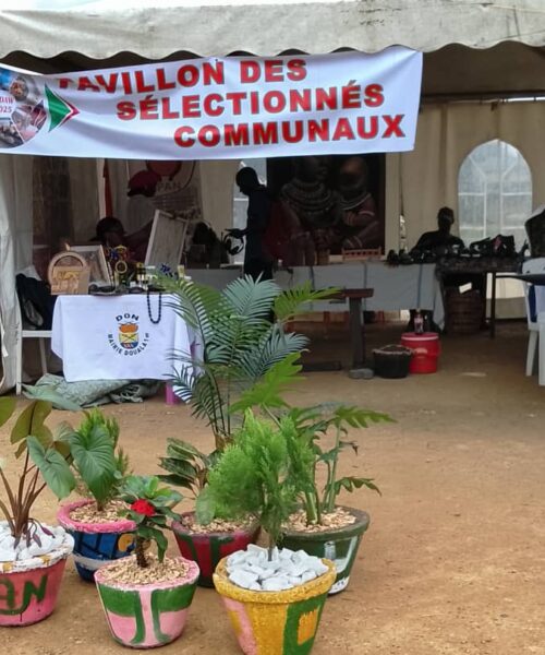 Notre pavillon