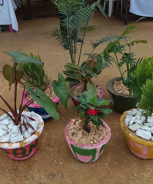 Des petits pots de fleurs faits de déchets plastiques